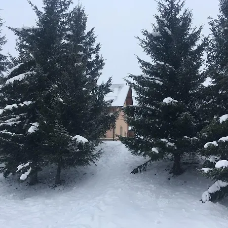 Zoryani Karpaty *
