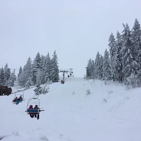 Zoryani Karpaty Гостевой дом