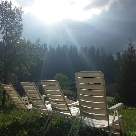 Zoryani Karpaty *